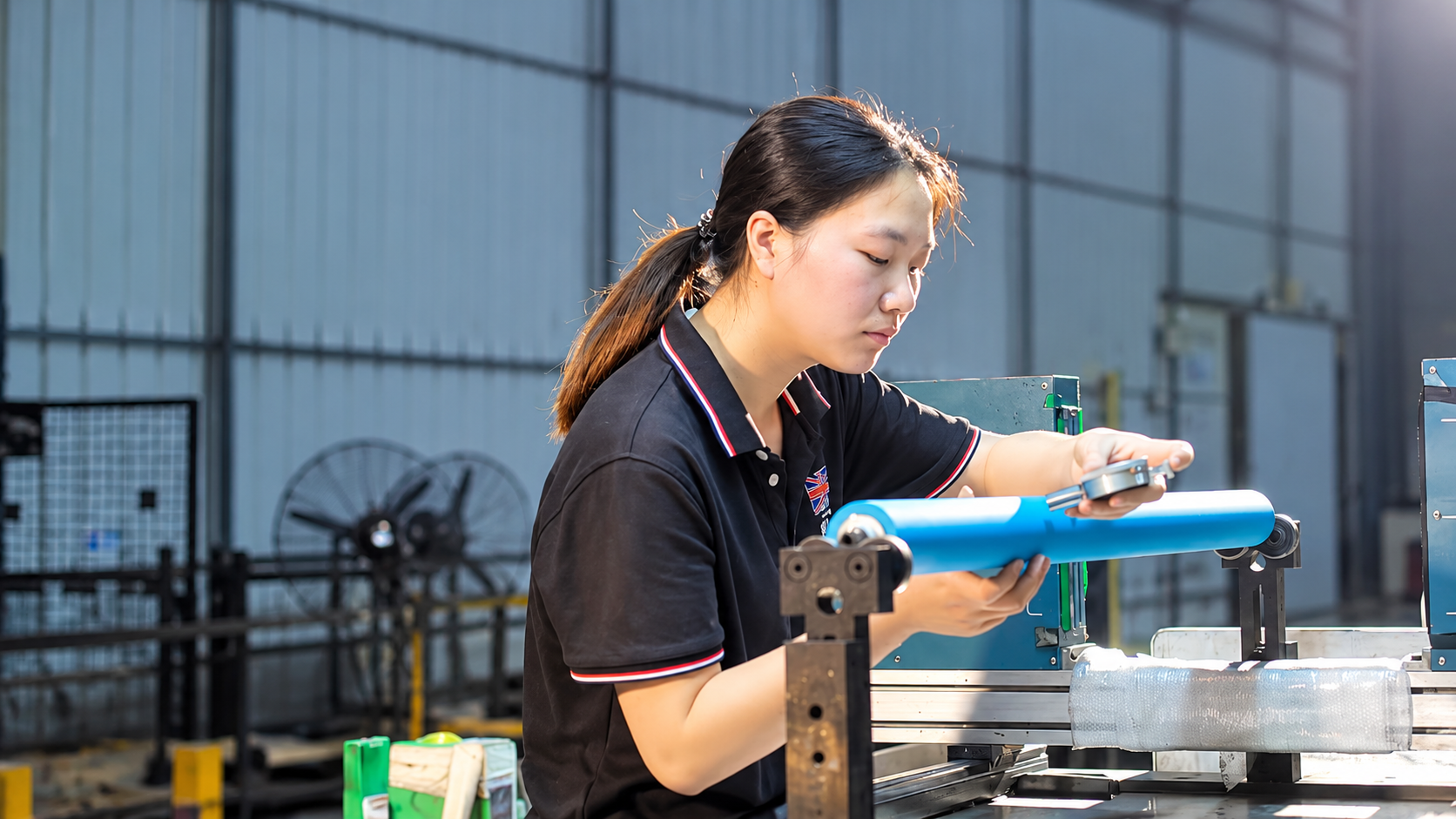 Roller surface inspection